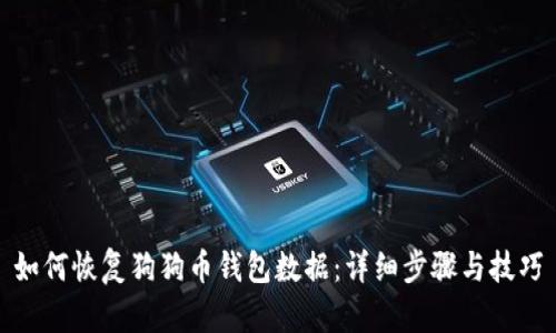 如何恢复狗狗币钱包数据：详细步骤与技巧