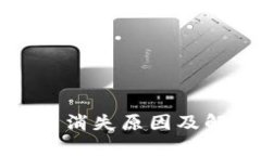 TP钱包中的币消失原因及解决方法详解