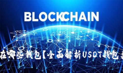 USDT币可以存在哪些钱包？全面解析USDT钱包类型与选择建议