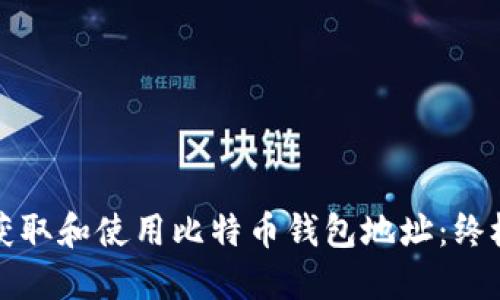 如何获取和使用比特币钱包地址：终极指南