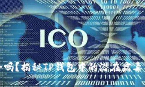 TP钱包安全吗？揭秘TP钱包中的潜在病毒及安全隐患