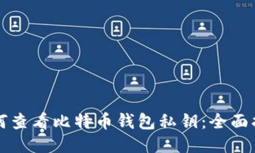 如何查看比特币钱包私钥：全面指南