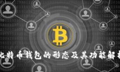 比特币钱包的形态及其功能解析