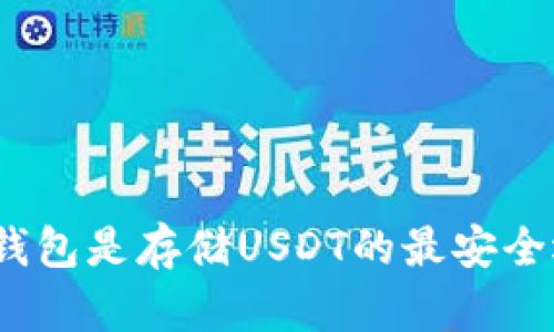 哪种钱包是存储USDT的最安全选择？