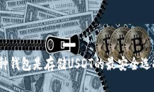 哪种钱包是存储USDT的最安全选择？