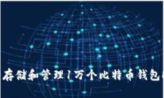 如何安全存储和管理1万个比特币钱包DAT文件？