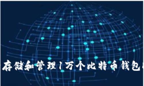 如何安全存储和管理1万个比特币钱包DAT文件？