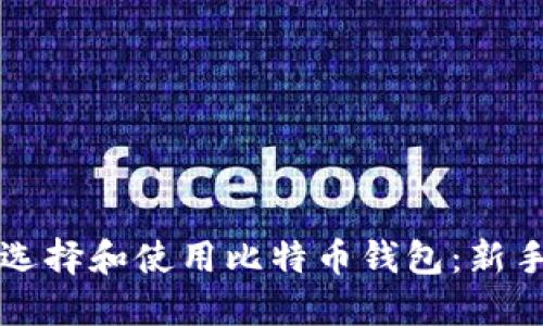如何选择和使用比特币钱包：新手指南