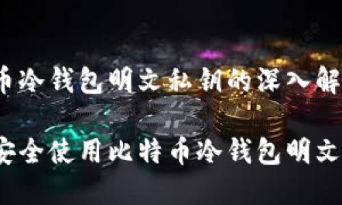 比特币冷钱包明文私钥的深入解析

如何安全使用比特币冷钱包明文私钥？