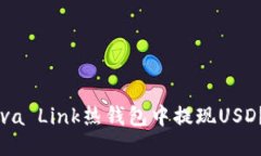 优质如何在Reva Link热钱包中提现USD？完整指南