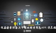 如何在安卓设备上下载比特币钱包APP：详尽指南