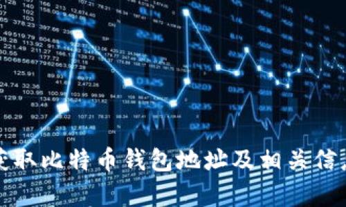 如何获取比特币钱包地址及相关信息解析