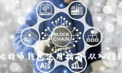 官方比特币钱包使用指南：从入门到精通