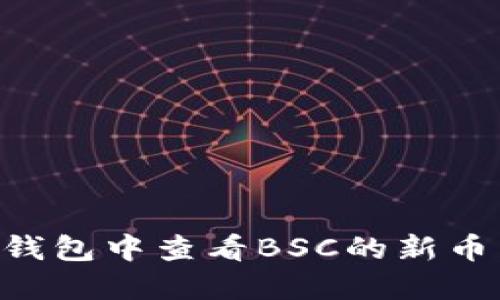 如何在TP钱包中查看BSC的新币：详细指南