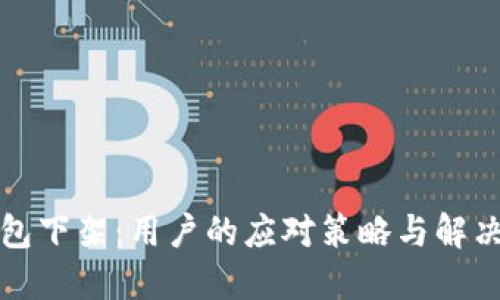 TP钱包下架：用户的应对策略与解决方案