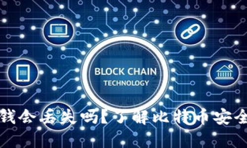 比特币钱包的钱会丢失吗？了解比特币安全性与钱包管理