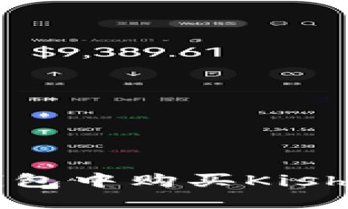 如何在TP钱包中购买Kishu：详细指南