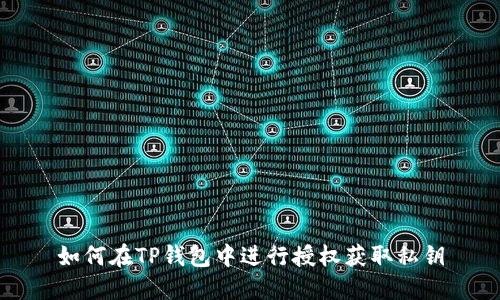 如何在TP钱包中进行授权获取私钥