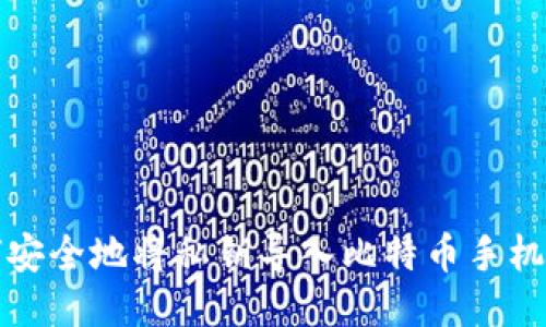 如何安全地将私钥导入比特币手机钱包