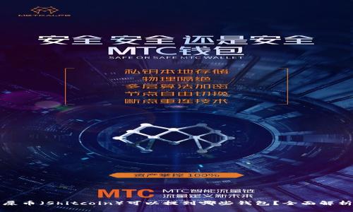 屎币（Shitcoin）可以提到哪些钱包？全面解析