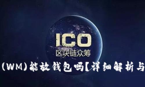 优质屎币(WM)能放钱包吗？详细解析与安全指南