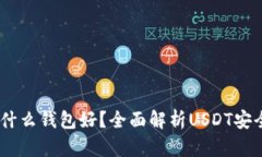 USDT提到什么钱包好？全面解析USDT安全存储方案