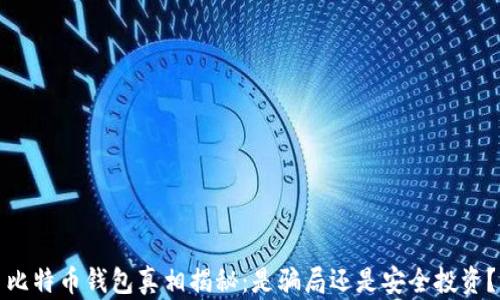 
比特币钱包真相揭秘：是骗局还是安全投资？