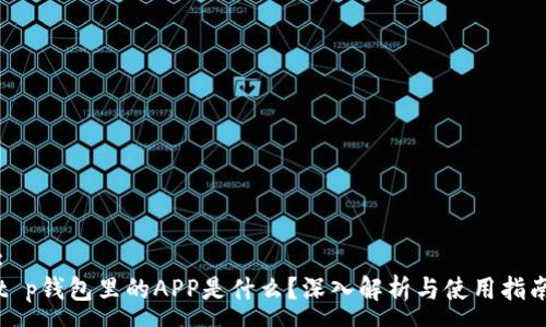 :
t p钱包里的APP是什么？深入解析与使用指南