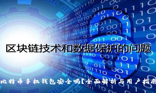 比特币手机钱包安全吗？全面解析与用户指南