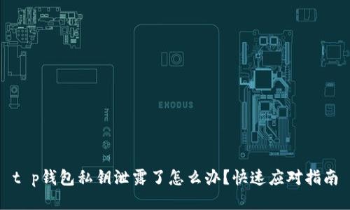 t p钱包私钥泄露了怎么办？快速应对指南
