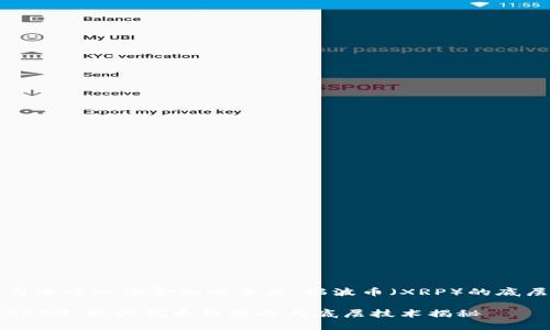 智能合约与去中心化金融的未来：瑞波币（XRP）的底层钱包解析

瑞波币（XRP）支持的优质钱包及其底层技术揭秘