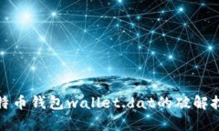 全面解析比特币钱包wallet.dat的破解技巧与安全性