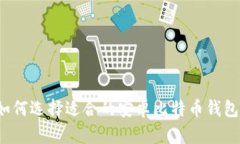 如何选择适合的安卓比特币钱包？