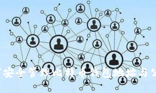 如何安全管理比特币钱包地址与公钥？