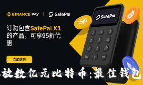   
如何安全存放数亿元比特币：最佳钱包选择与技巧