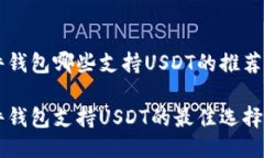区块链硬件钱包哪些支持USDT的推荐与使用指南区