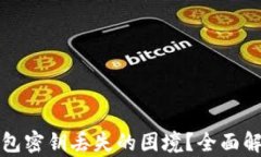 如何处理TP钱包密钥丢失的困境？全面解析及解决