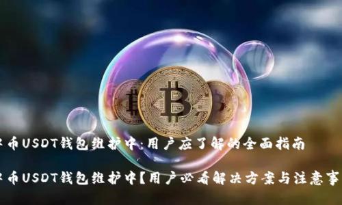 中币USDT钱包维护中：用户应了解的全面指南

中币USDT钱包维护中？用户必看解决方案与注意事项