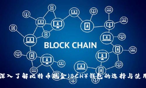 深入了解比特币现金（BCH）钱包的选择与使用