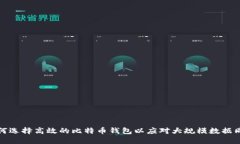 如何选择高效的比特币钱包以应对大规模数据同