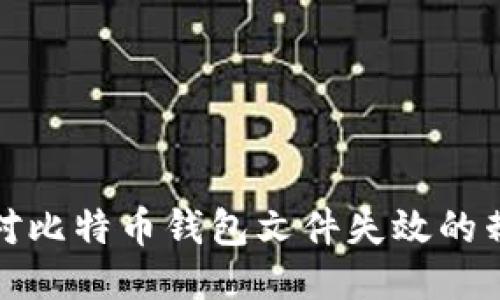 如何应对比特币钱包文件失效的棘手问题