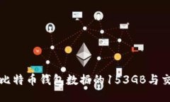 深入探讨比特币钱包数据的153GB与交易安全性