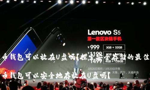 狗狗币钱包可以放在U盘吗？探索安全存储的最佳选择

狗狗币钱包可以安全地存放在U盘吗？