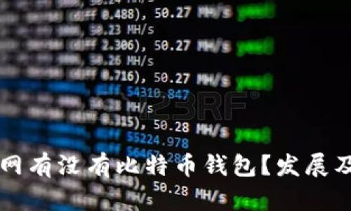 百度主题龙网有没有比特币钱包？发展及安全性分析