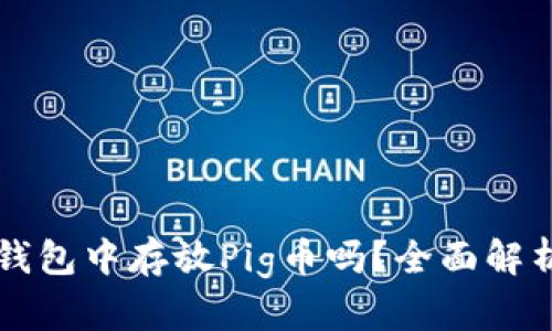 你可以在TP钱包中存放Pig币吗？全面解析与使用指南