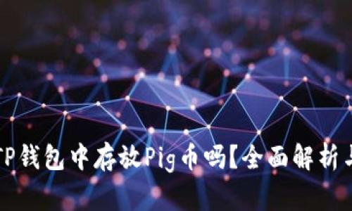 你可以在TP钱包中存放Pig币吗？全面解析与使用指南