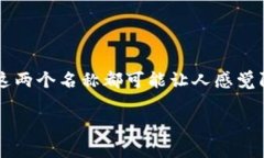 在数字货币交易和投资的日益普及中，选择一个