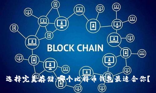 选择完美存储：哪个比特币钱包最适合你？