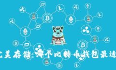 选择完美存储：哪个比特币钱包最适合你？