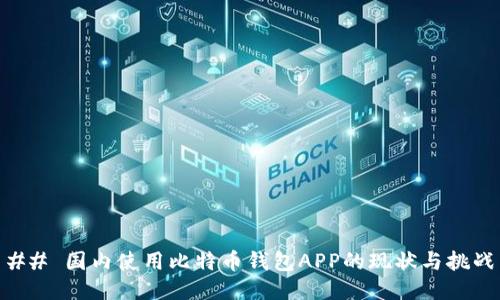 ## 国内使用比特币钱包APP的现状与挑战